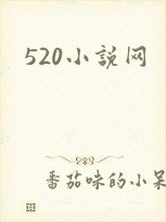 520小说网