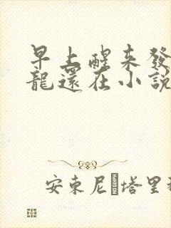 早上醒来发现巨龙还在小说