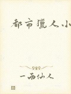 都市猎人小说