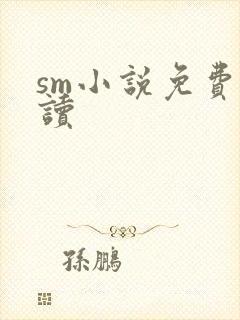 sm小说免费阅读
