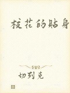 校花的贴身杀手