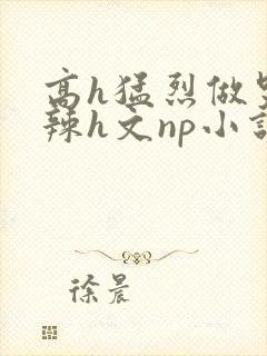 高h猛烈做哭高辣h文np小说