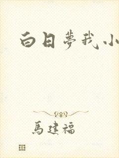 白日梦我小说