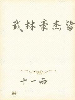 武林豪杰皆我奴