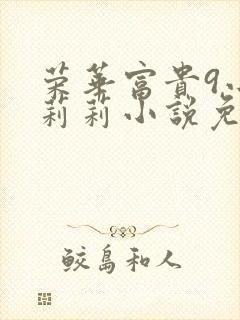 荣华富贵9小王莉莉小说免费阅读