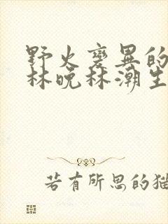 野火变异的父爱林晚林潮生