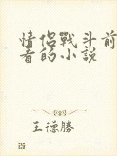 情侣战斗前适合看的小说