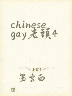 chinesegay老头4