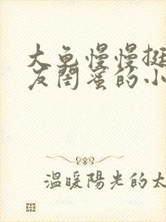 大龟慢慢挺进女友闺蜜的小说