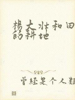 杨大壮和田桂花的耕地