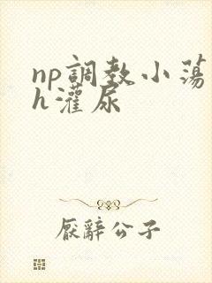 np调教小荡货h灌尿