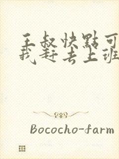 王叔快点可以吗我赶去上班