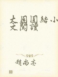 大团圆结小茹全文阅读