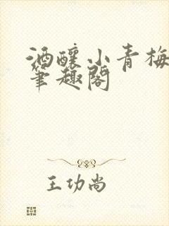 酒酿小青梅po笔趣阁