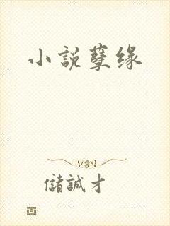 小说孽缘