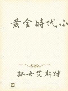 黄金时代小说