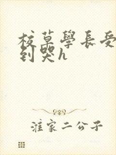 校草学长受被做到哭h