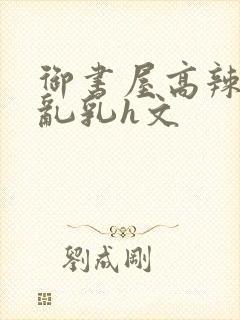 御书屋高辣h文乱乳h文