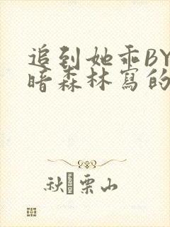 追到她乖BY黑暗森林写的小说