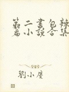 第二书包辣网短篇小说合集