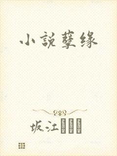 小说孽缘