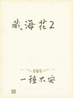 藏海花2