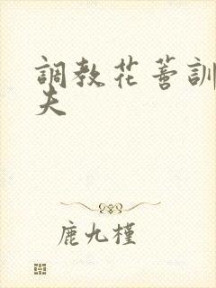 调教花蒂训诫从夫