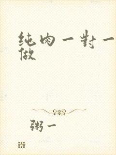 纯肉一对一到处做
