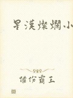 星汉灿烂小说