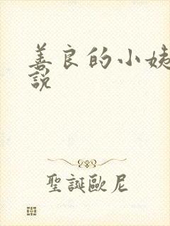 善良的小姨子小说