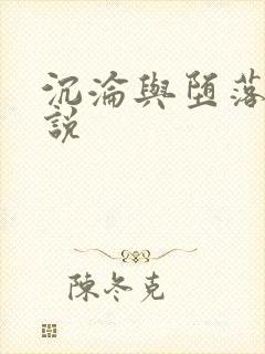 沉沦与堕落的小说