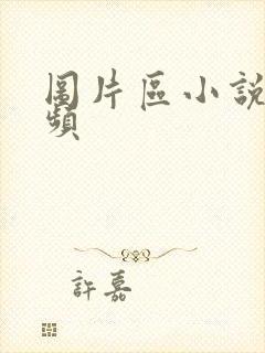 图片区小说区视频