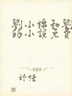 刘小棉和刘易文的小说免费阅读