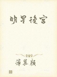 明星后宫