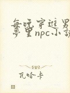 每晚穿进男神的梦里npc小说