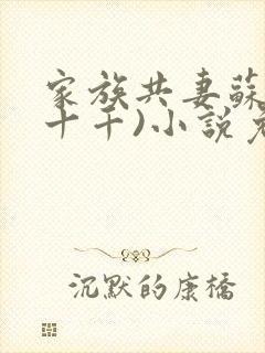 家族共妻苏苏(十千)小说免费