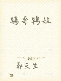 鸨哥鸨姐
