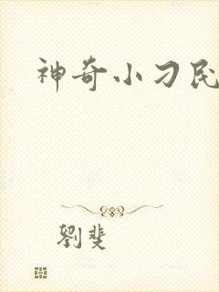神奇小刁民