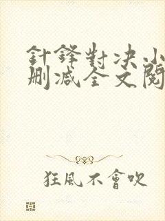 针锋对决小说未删减全文阅读