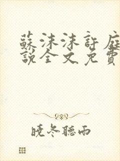 苏沫沫许庭川小说全文免费阅读