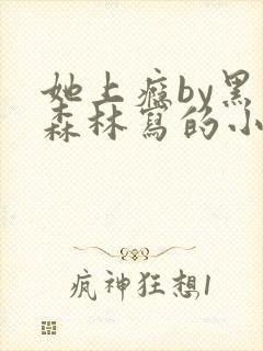 她上瘾by黑暗森林写的小说免费阅读无弹窗