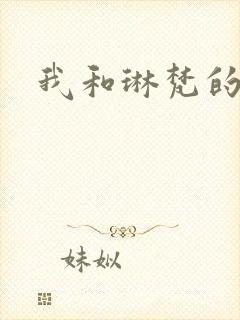 我和琳梵的故事