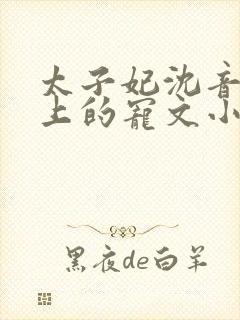 太子妃沈音和皇上的宠文小说