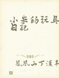 小米的玩具羞辱日记