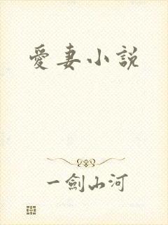 爱妻小说