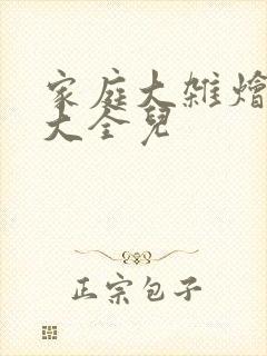 家庭大杂烩小说大全儿