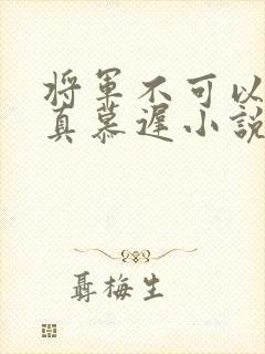 将军不可以魏云真慕迟小说笔趣阁