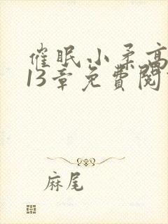 催眠小柔高达第13章免费阅读