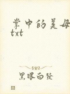 掌中的美母版主txt