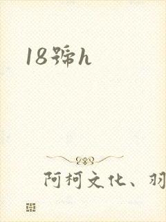 18号h